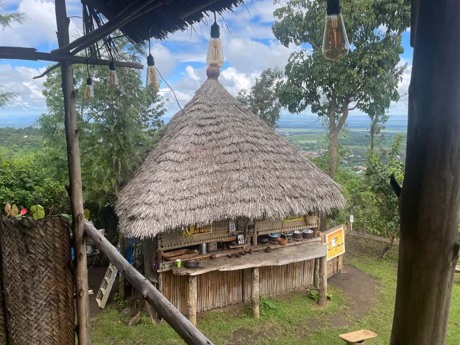 From Arusha: Coffee Farm and Mangalia Waterfalls Tour - Key points to know before you go