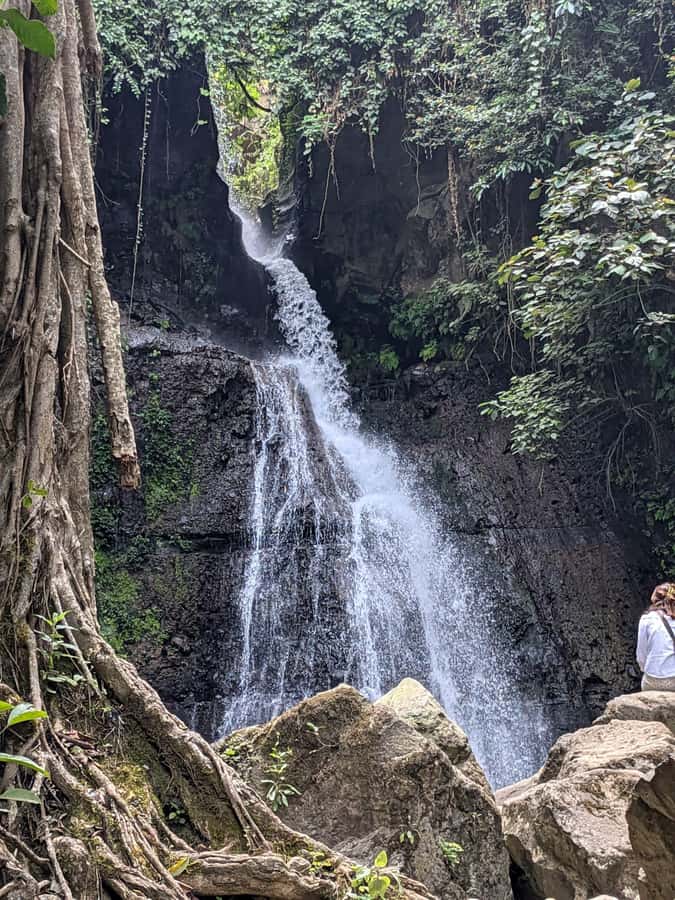 From Arusha: Coffee Farm and Mangalia Waterfalls Tour - Why this short Arusha outing works