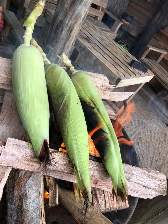 From Arusha: Coffee Farm and Mangalia Waterfalls Tour - What the guides add to the day