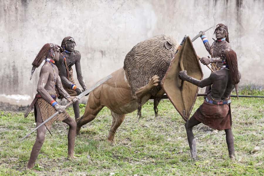 From Arusha: Guided City Tour with the best highlights - Practical advice for a better day
