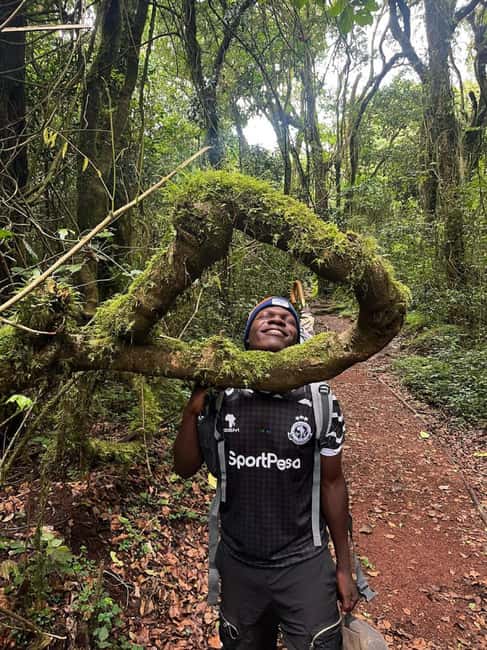 From Arusha/Moshi: Kilimanjaro Hike Marangu Route Day Trip - Mandara Hut and the Maundi Crater option