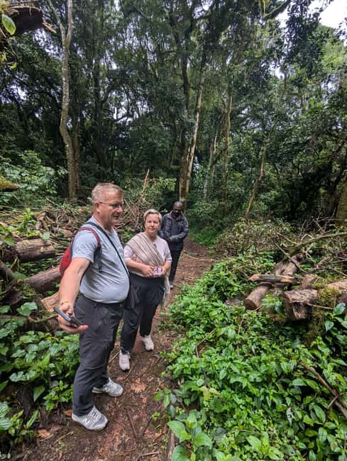 From Arusha/Moshi: Kilimanjaro Hike Marangu Route Day Trip - Who should book this route