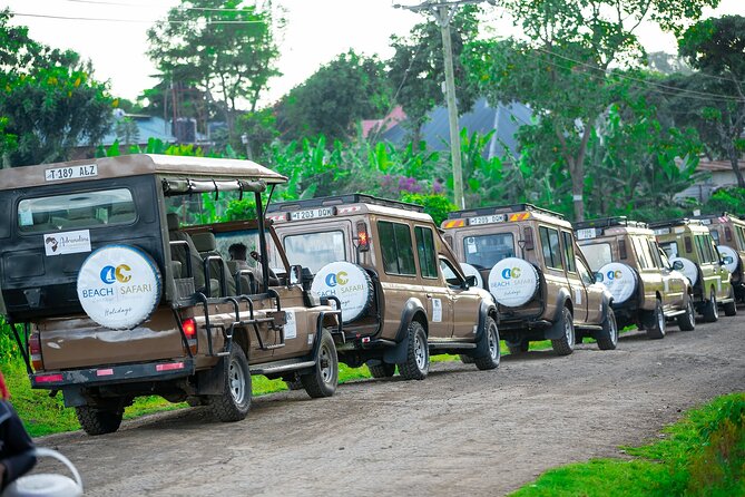 From Arusha: Tarangire and Ngorongoro Crater 3-Day Private Safari - How the private vehicle changes the experience