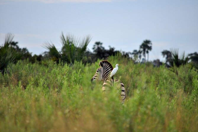 From Arusha: Tarangire and Ngorongoro Crater 3-Day Private Safari - Day 3: Returning to Arusha