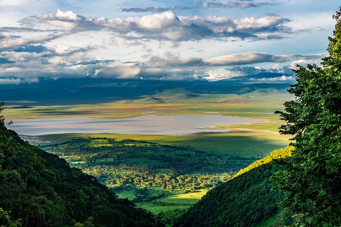 From Arusha: Tarangire and Ngorongoro Crater 3-Day Private Safari - Who should choose this safari