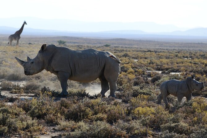 From Arusha: Tarangire and Ngorongoro Crater 3-Day Private Safari - Africa Safari Lake Manyara: a different kind of overnight