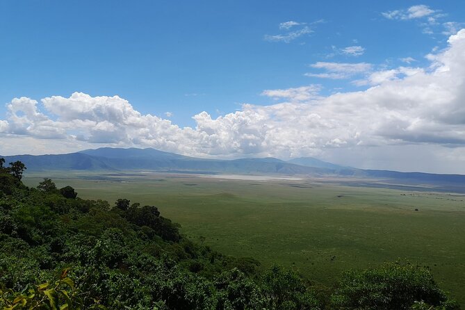 From Arusha to Zanzibar : 11 days From Bush to Beach safari - Flying From the Bush to Zanzibar