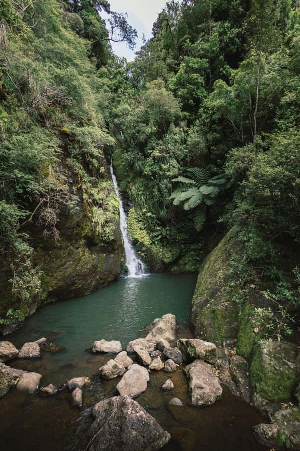 From Dar es Salaam: Mikumi National Park Day Trip - A long but clever route from Dar es Salaam