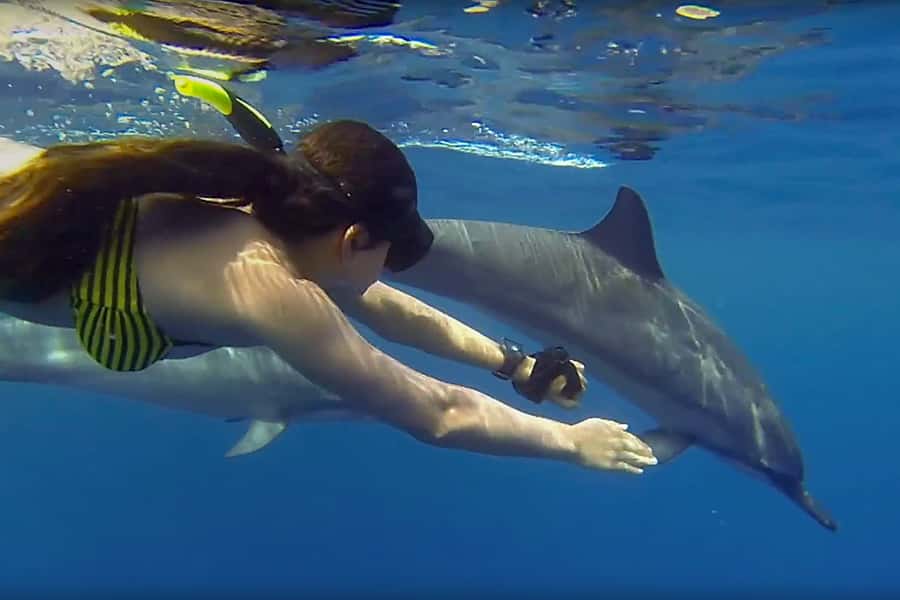 From Kendwa: Mnemba Boat Trip and Dolphin Snorkel Adventure - Searching for dolphins in open water