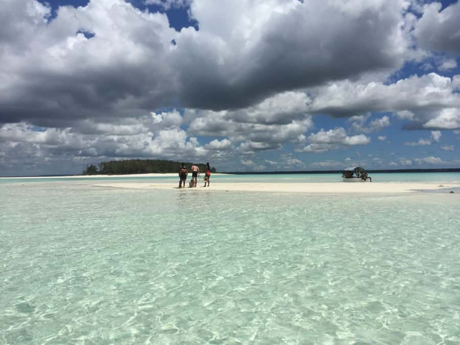 From Kendwa: Mnemba Boat Trip and Dolphin Snorkel Adventure - What the $50 price includes