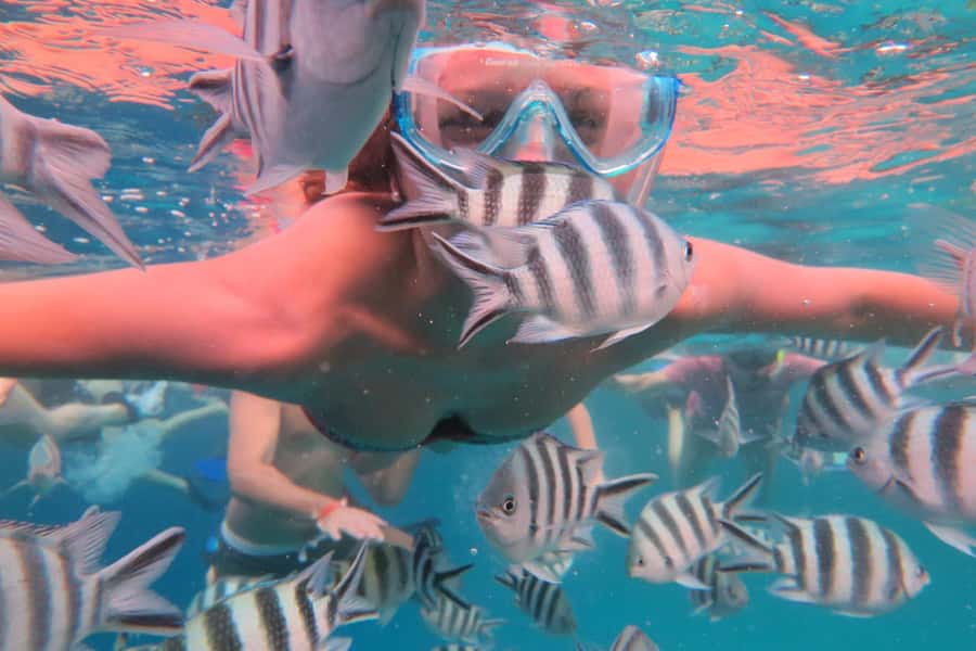 From Kendwa: Mnemba Boat Trip and Dolphin Snorkel Adventure - Who should book, and who should skip it
