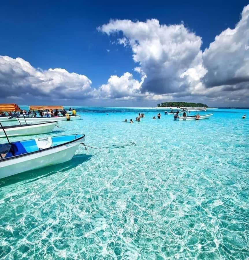 FROM KENDWA; Mnemba snorkelling and Dolphin tour - Key points at a glance