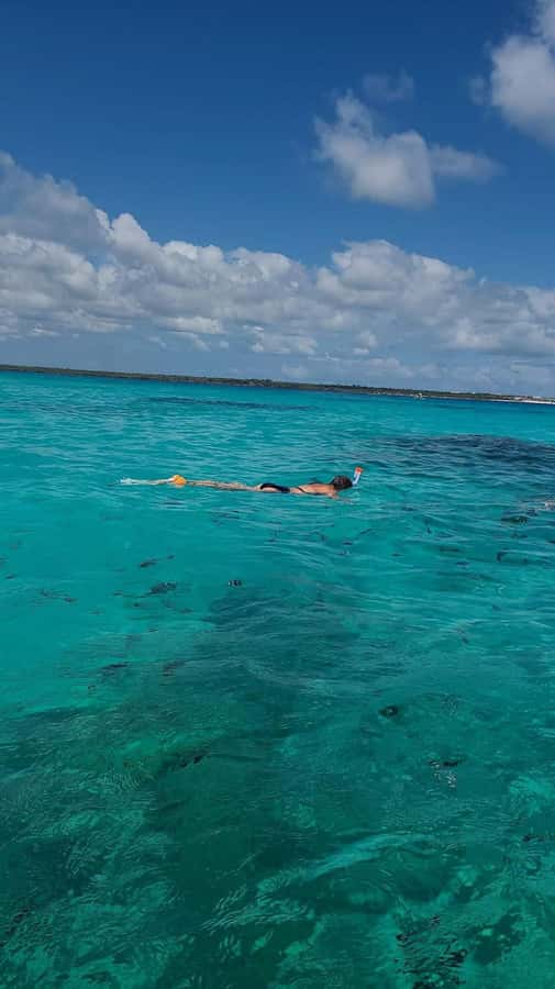 FROM KENDWA; Mnemba snorkelling and Dolphin tour - What to expect from the guide and supplies