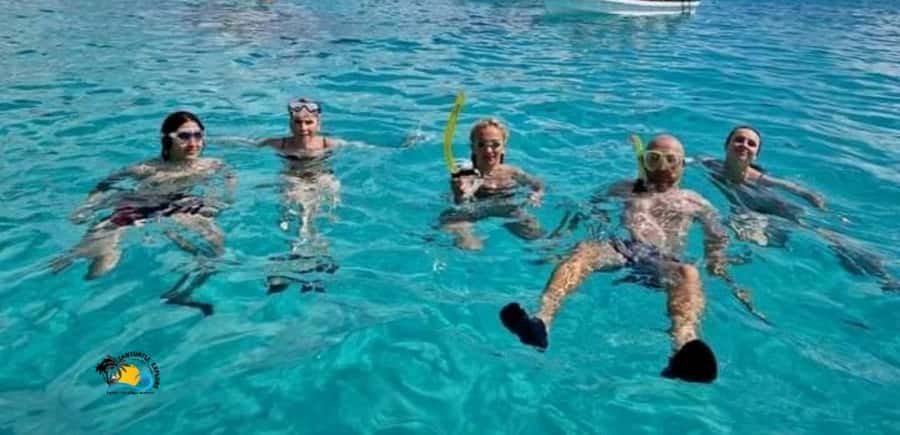 From Kendwa/Nungwi: Mnemba Dolphins with Snorkel Tour - Who will like this Mnemba trip most