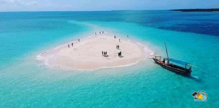 From Kendwa/Nungwi: Mnemba Dolphins with Snorkel Tour - Should you book this tour?