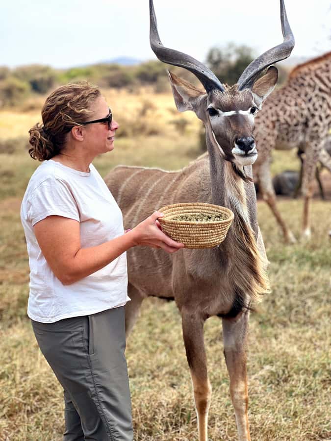 From Moshi or Arusha: Serval Wildlife Sanctuary Trip - Leaving Moshi or Arusha for the sanctuary