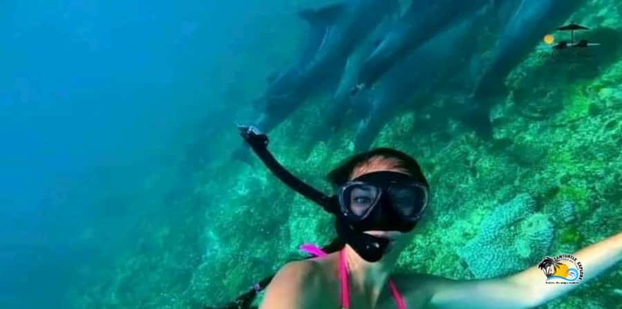 From Nungwi/Kendwa: Mnemba Atoll Starfishes & Dolphins Tour - Mnemba beach when the tide allows