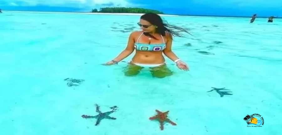From Nungwi/Kendwa: Mnemba Atoll Starfishes & Dolphins Tour - The boat ride from Nungwi or Muyuni Beach