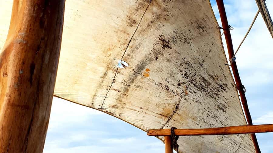 From Nungwi : Mnemba Boat Trip and Dolphin Snorkel Adventure - Key points to know before you book