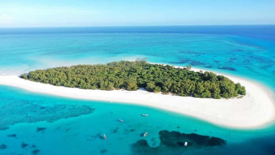 From Nungwi : Mnemba Boat Trip and Dolphin Snorkel Adventure - A morning on the water from Nungwi