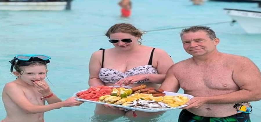 From Nungwi: Mnemba Island Dolphin Watching and Snorkeling - What the $60 price really covers