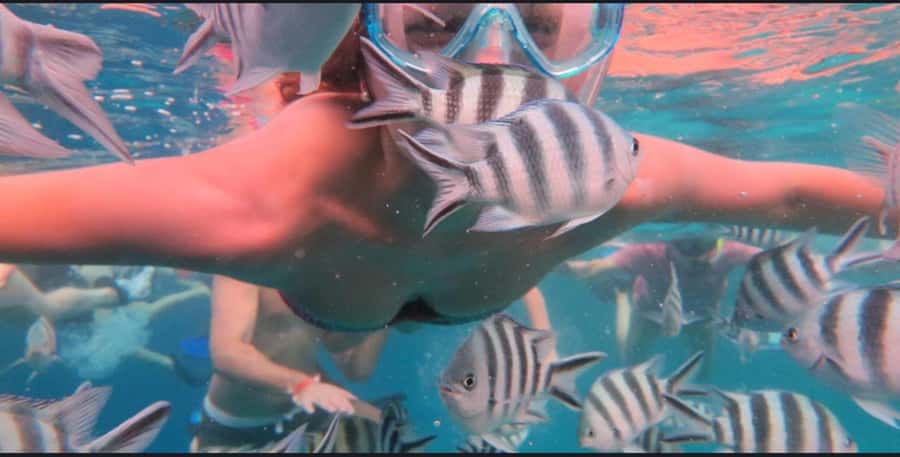 FROM NUNGWI; MNEMBA SNORKELING AND DOLPHIN TOUR - Key points to know before booking