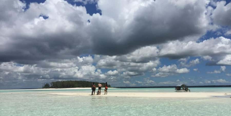 FROM NUNGWI; MNEMBA SNORKELING AND DOLPHIN TOUR - Extra marine life on the return route