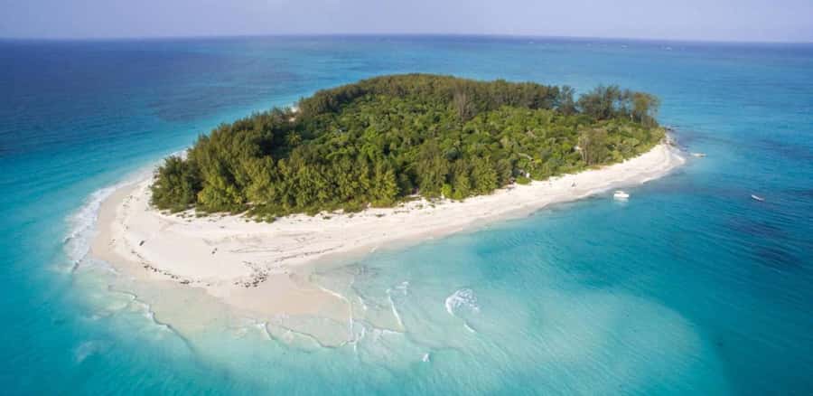 FROM NUNGWI; MNEMBA SNORKELING AND DOLPHIN TOUR - What the $45 price includes