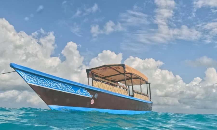 FROM NUNGWI; MNEMBA SNORKELING AND DOLPHIN TOUR - Who will enjoy this tour most