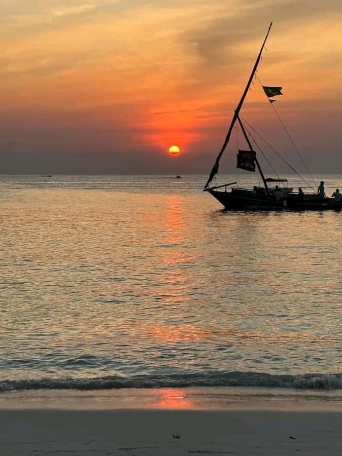 FROM NUNGWI; SUNSET DHOW CRUISE EXPERIENCE - Key points to know before booking