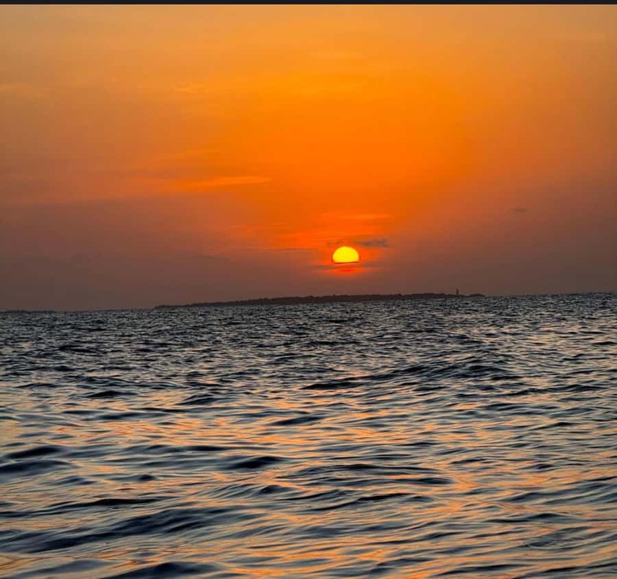 FROM NUNGWI; SUNSET DHOW CRUISE EXPERIENCE - Languages, payment, and cancellation