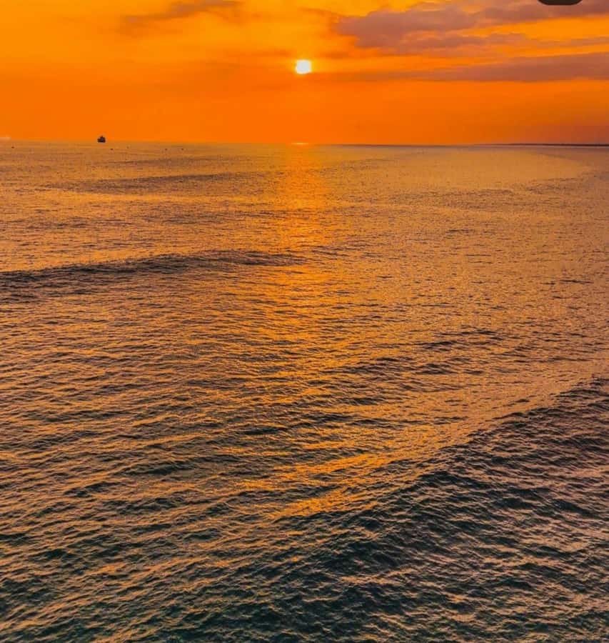 From Nungwi: Sunset Dhow Cruises - What the Two-Hour Boat Ride Feels Like