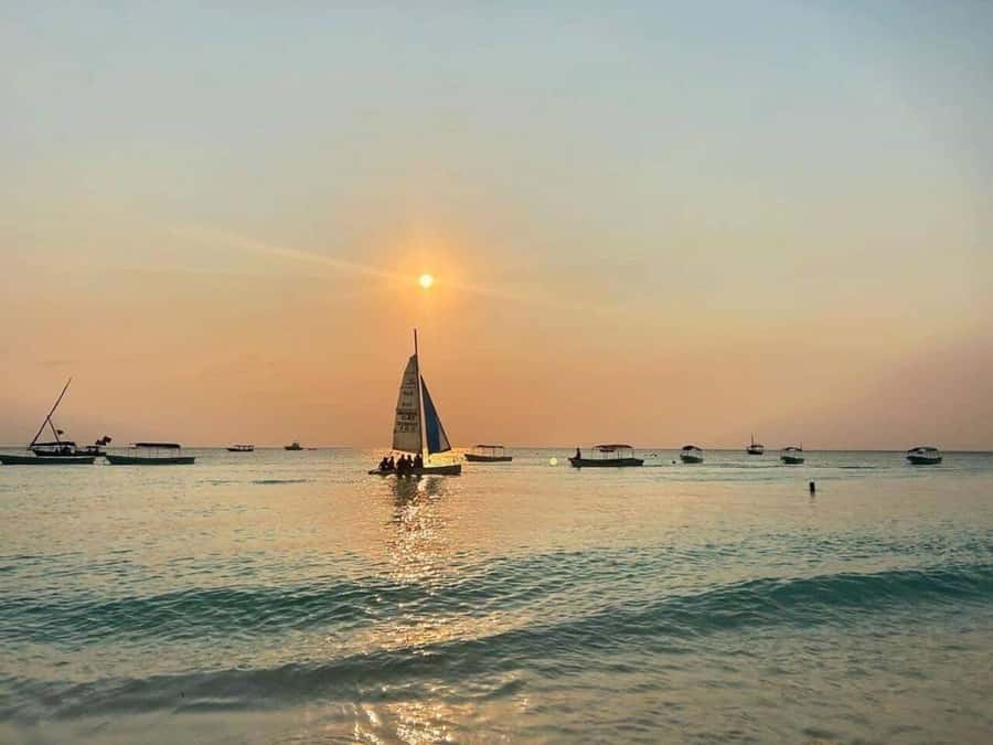 From Nungwi: Sunset Dhow Cruises - Who Will Enjoy This Cruise Most?