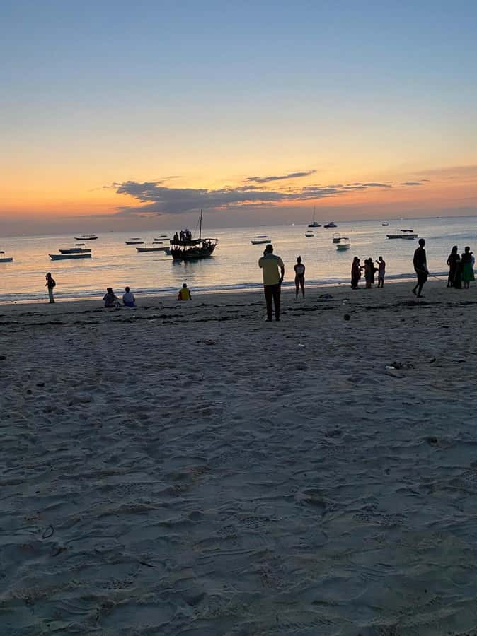 From Nungwi: Sunset Dhow Cruises - Should You Book the Nungwi Dhow Cruise?