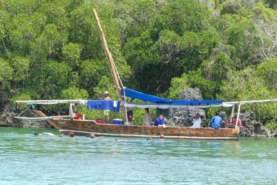 From Stone Town: Sandbank picnic with sea food BBQ Lunch - A 500-year-old baobab and a mangrove lagoon