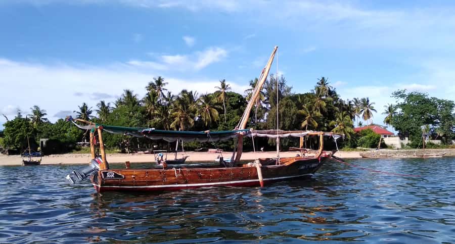 From Stone Town: Sandbank picnic with sea food BBQ Lunch - Who will get the most from this outing