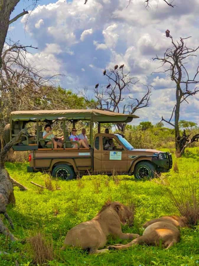 From Zanzibar: 2 Days 1 Night Selous GR Safari with Flights - An overnight Banda Bungalow near the park