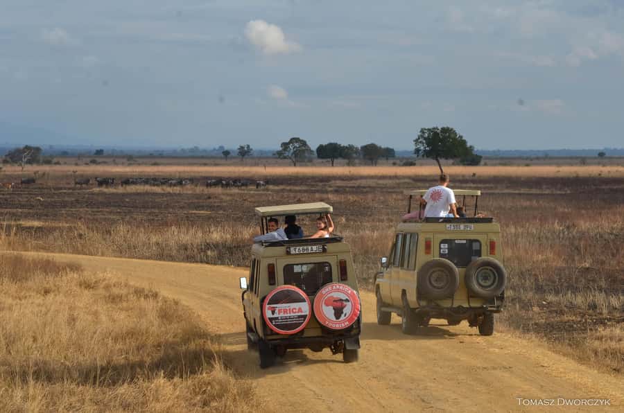 From Zanzibar: day Safari to Mikumi National Park - Arriving at Mikumi Airstrip at 7 a.m.