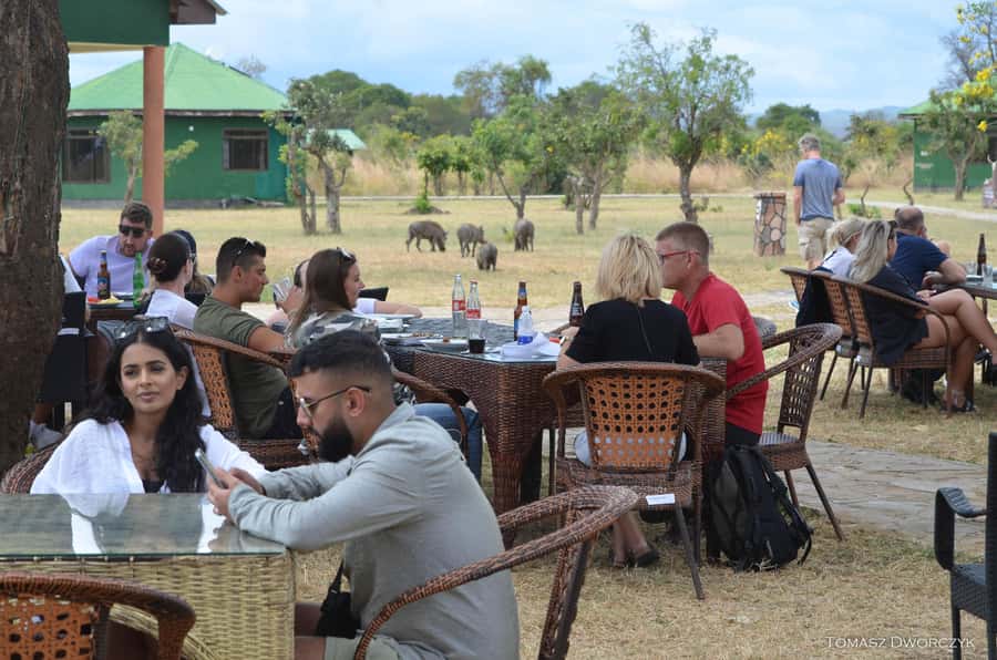 From Zanzibar: day Safari to Mikumi National Park - The 4 a.m. hotel pickup and early flight
