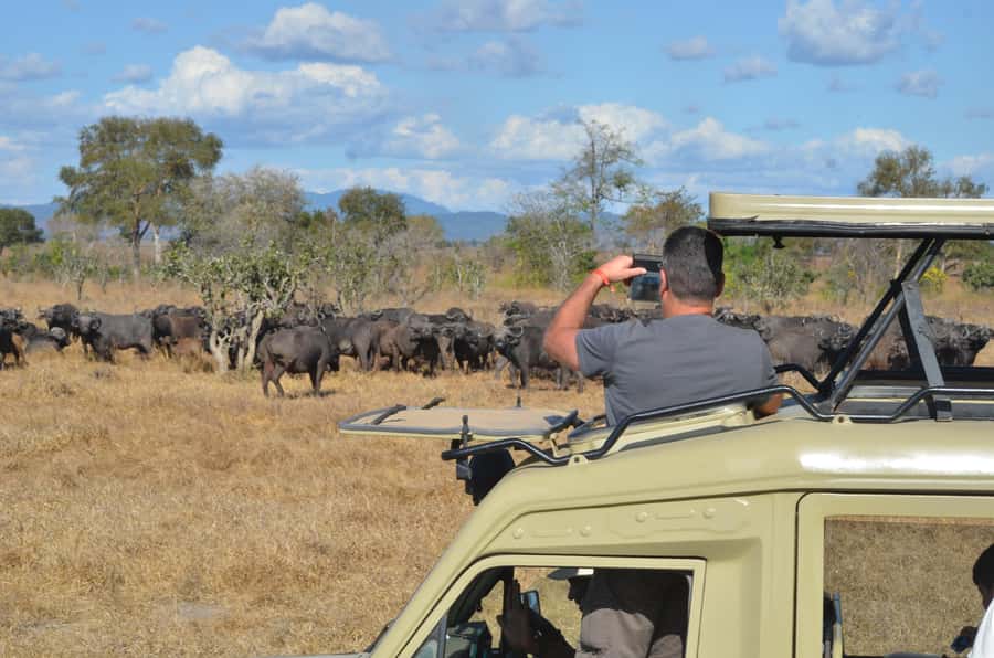 From Zanzibar: Day Safari to Selous Game Reserve with flight - Why Selous works as a Zanzibar day trip