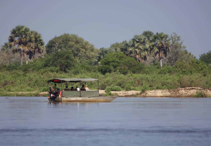 From Zanzibar: Day Safari to Selous Game Reserve with flight - Returning to Zanzibar after the afternoon drive