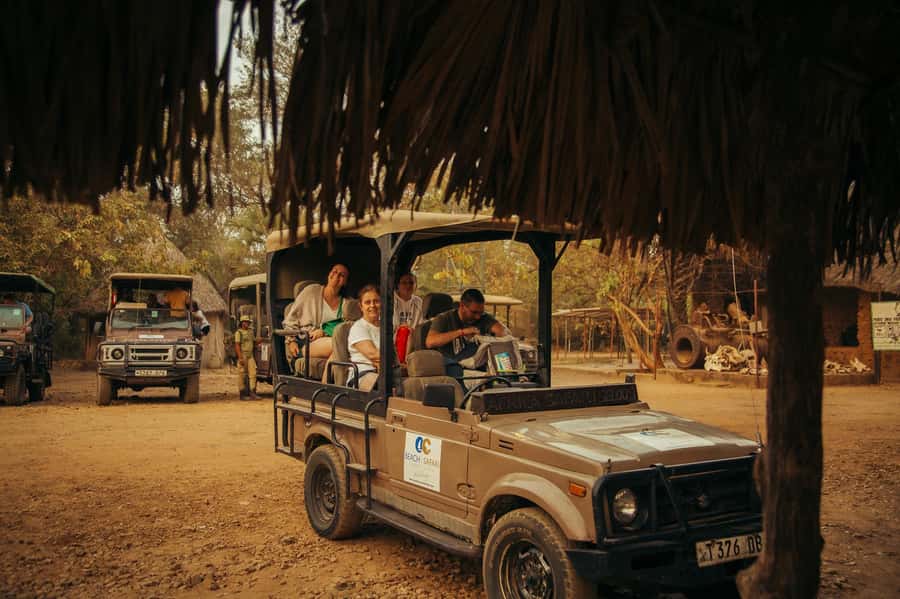 From Zanzibar: Day Selous Game Reserve Safari with Flights - Key points at a glance