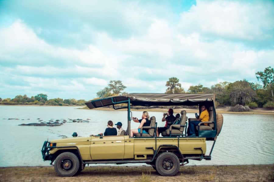 From Zanzibar: Mikumi Day Trip Safari By Flight. - Key points at a glance