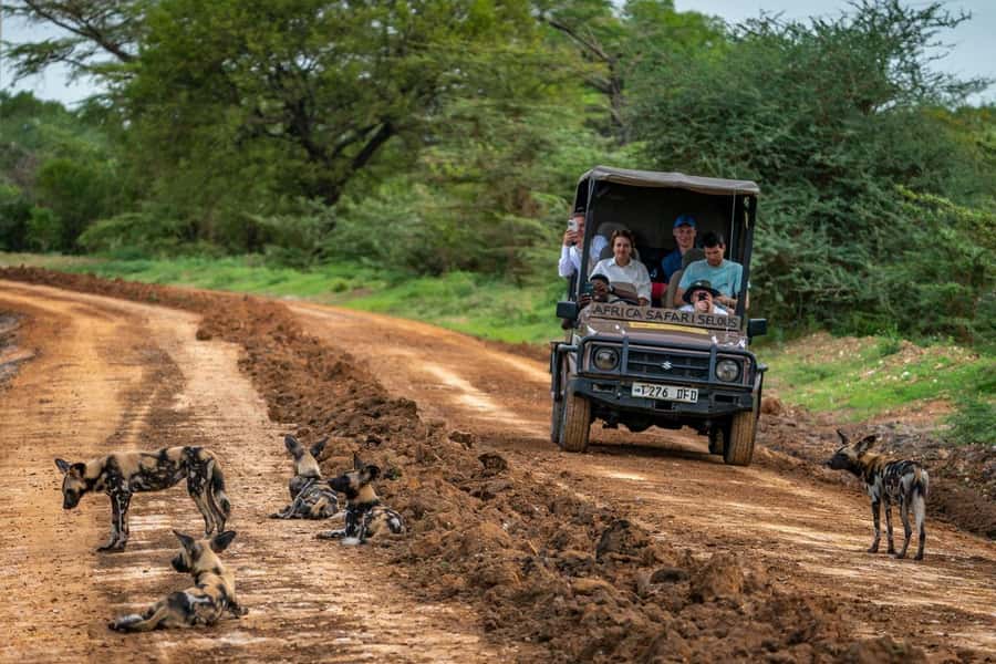 From Zanzibar: Mikumi Day Trip Safari By Flight. - The early start from Zanzibar