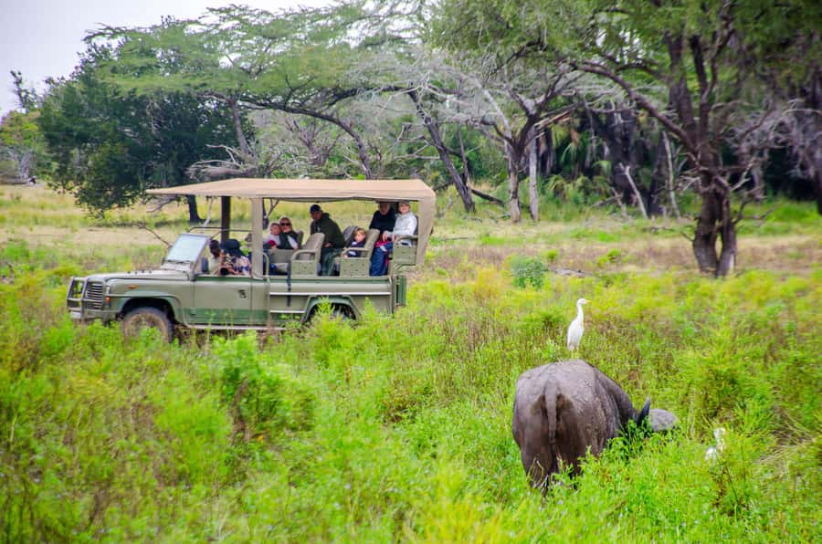 From Zanzibar: Mikumi National Park Guided Safari - The Return Flight and Hotel Drop-Off