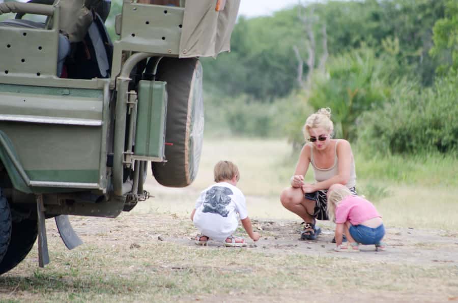 From Zanzibar: Mikumi National Park Guided Safari - Is $550 a Fair Price?