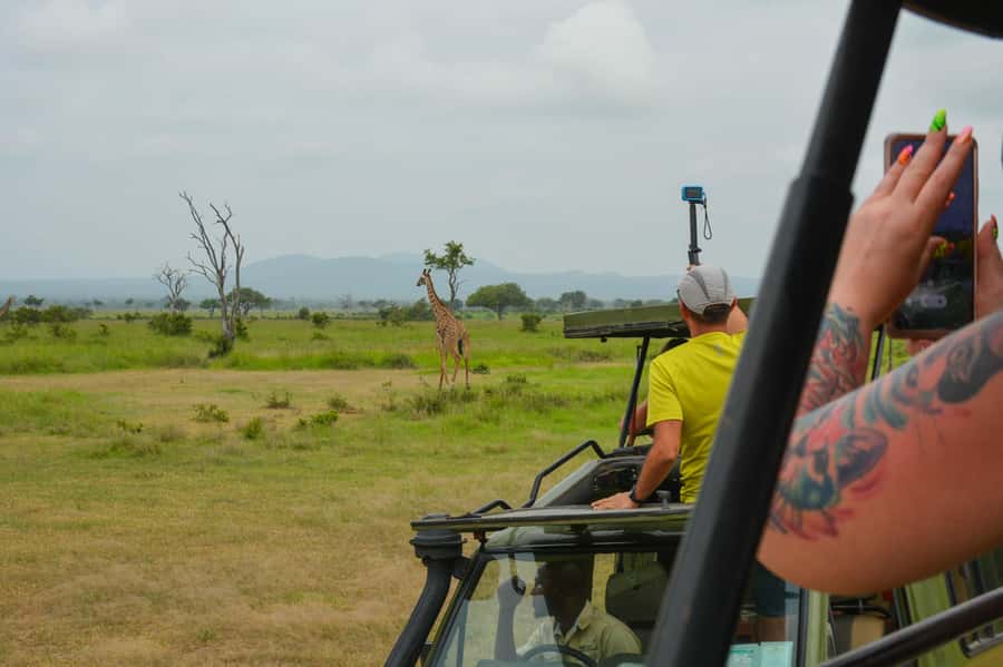 From Zanzibar: Mikumi National Park Guided Safari - Who Should Book This Mikumi Day Trip?