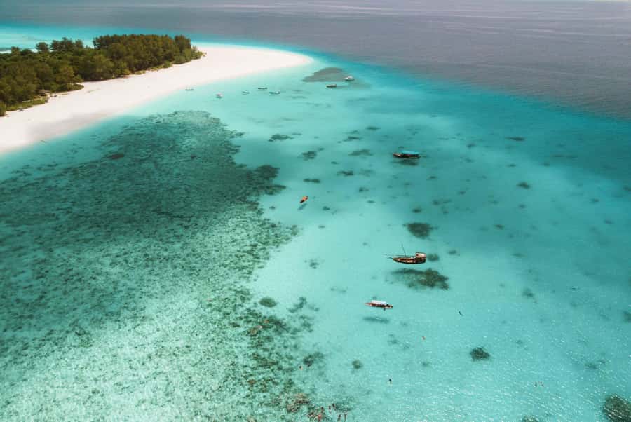 From Zanzibar: Mnemba Boat Tour with Snorkeling & Dolphine - Key points before you book