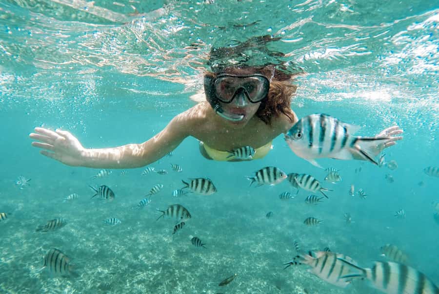 From Zanzibar: Mnemba Boat Tour with Snorkeling & Dolphine - Snorkeling around Mnemba Atoll
