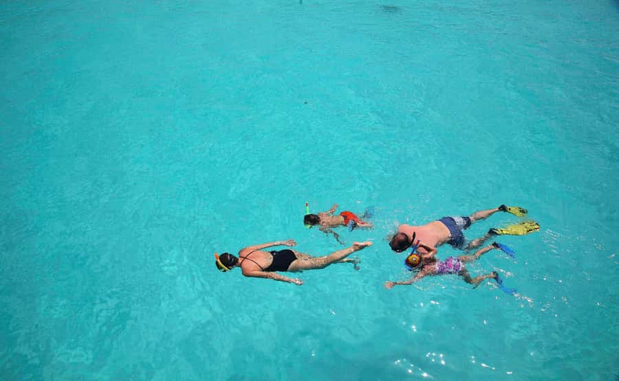 From Zanzibar: Mnemba Boat Tour with Snorkeling & Dolphine - My verdict: book it for value, not privacy
